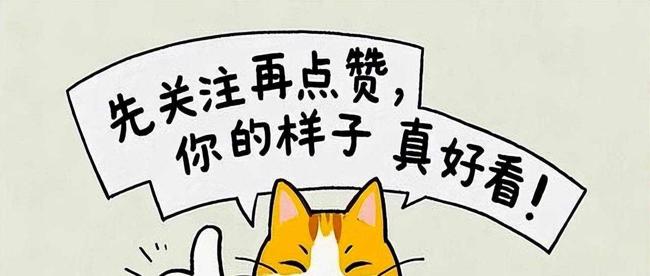 此内容并非体育新闻，无法按照要求生成体育新闻，请提供相关体育新闻内容。